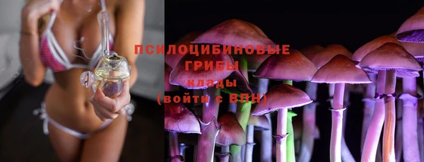 a pvp Арсеньев