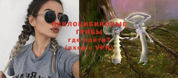 прущий лед Армянск