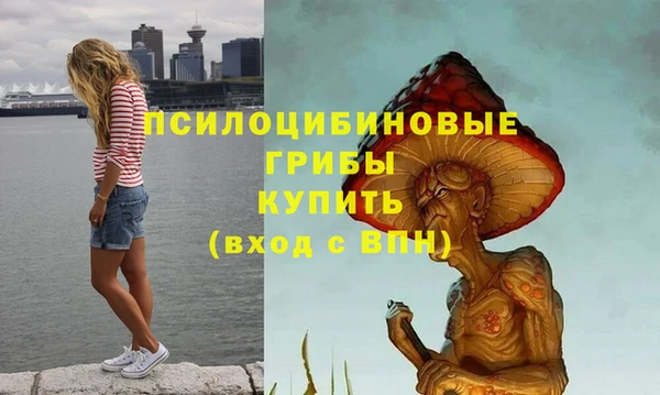 прущий лед Армянск
