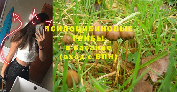 прущие крисы Аркадак