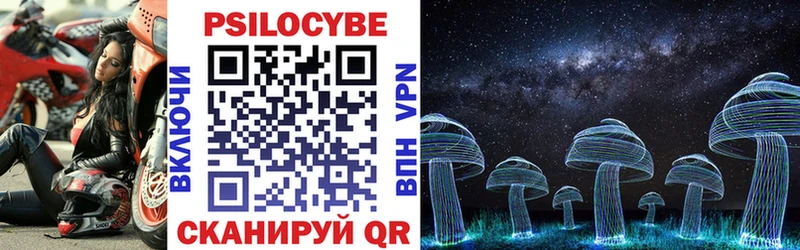 Псилоцибиновые грибы Psilocybine cubensis  Саки 